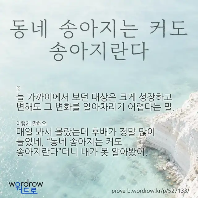 “동네 송아지는 커도 송아지란다” 글씨와 뜻·예문이 완성된 속담 영상 포스터
