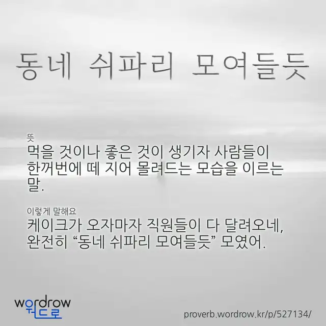 “동네 쉬파리 모여들듯” 글씨와 뜻·예문이 완성된 속담 영상 포스터