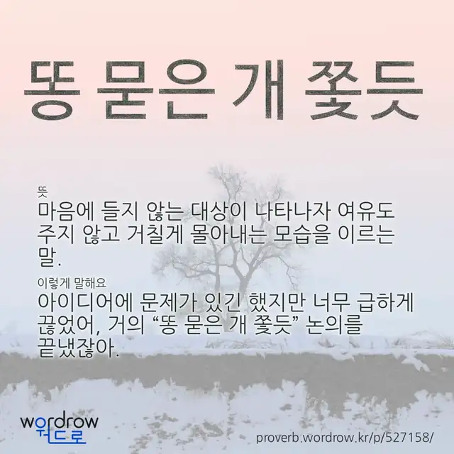 “똥 묻은 개 쫓듯” 글씨와 뜻·예문이 완성된 속담 영상 포스터