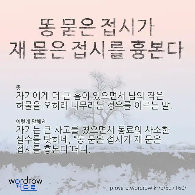 “똥 묻은 접시가 재 묻은 접시를 흉본다” 글씨와 뜻·예문이 완성된 속담 영상 포스터