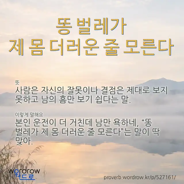 “똥 벌레가 제 몸 더러운 줄 모른다” 글씨와 뜻·예문이 완성된 속담 영상 포스터