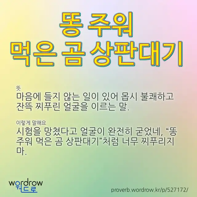 “똥 주워 먹은 곰 상판대기” 글씨와 뜻·예문이 완성된 속담 영상 포스터