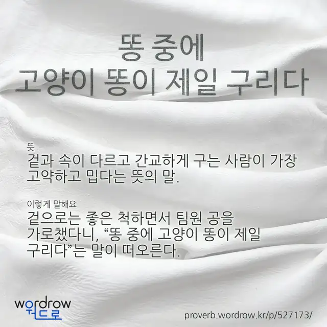 “똥 중에 고양이 똥이 제일 구리다” 글씨와 뜻·예문이 완성된 속담 영상 포스터