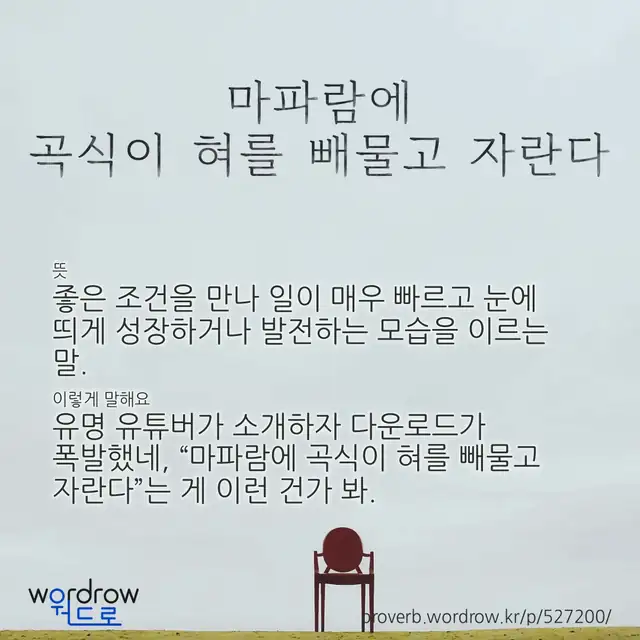 “마파람에 곡식이 혀를 빼물고 자란다” 글씨와 뜻·예문이 완성된 속담 영상 포스터