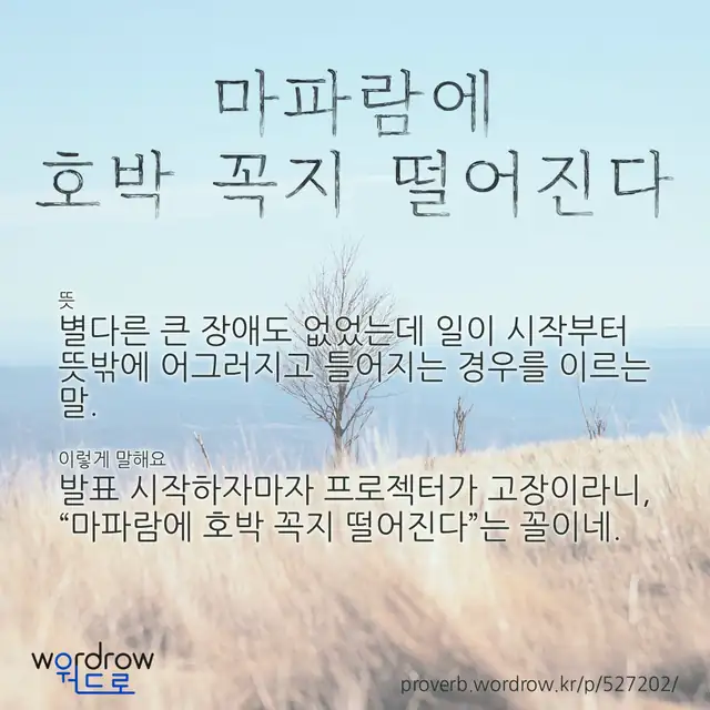 “마파람에 호박 꼭지 떨어진다” 글씨와 뜻·예문이 완성된 속담 영상 포스터