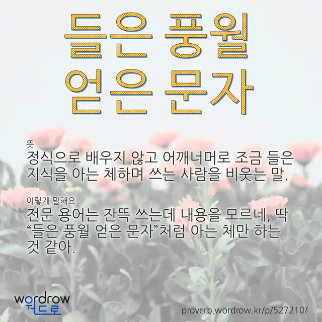 “들은 풍월 얻은 문자” 글씨와 뜻·예문이 완성된 속담 영상 포스터