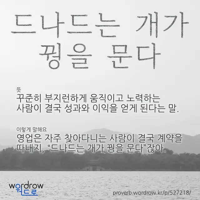 “드나드는 개가 꿩을 문다” 글씨와 뜻·예문이 완성된 속담 영상 포스터