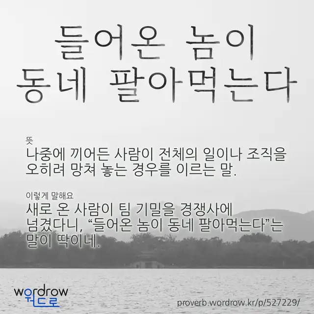 “들어온 놈이 동네 팔아먹는다” 글씨와 뜻·예문이 완성된 속담 영상 포스터