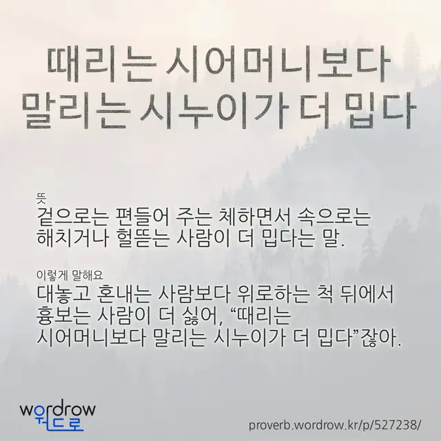 “때리는 시어머니보다 말리는 시누이가 더 밉다” 글씨와 뜻·예문이 완성된 속담 영상 포스터