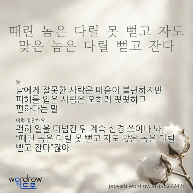 “때린 놈은 다릴 못 뻗고 자도 맞은 놈은 다릴 뻗고 잔다” 글씨와 뜻·예문이 완성된 속담 영상 포스터