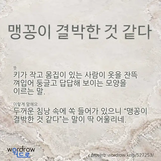 “맹꽁이 결박한 것 같다” 글씨와 뜻·예문이 완성된 속담 영상 포스터