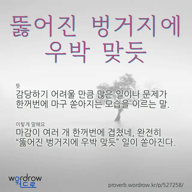 “뚫어진 벙거지에 우박 맞듯” 글씨와 뜻·예문이 완성된 속담 영상 포스터