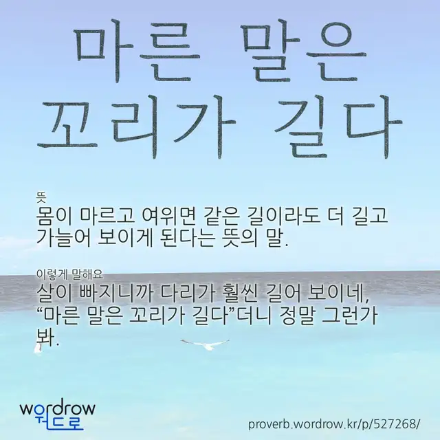 “마른 말은 꼬리가 길다” 글씨와 뜻·예문이 완성된 속담 영상 포스터