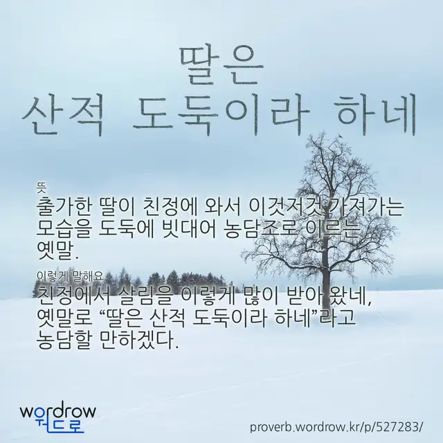 “딸은 산적 도둑이라 하네” 글씨와 뜻·예문이 완성된 속담 영상 포스터