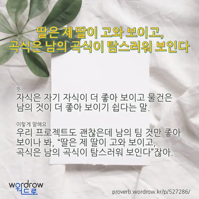 “딸은 제 딸이 고와 보이고, 곡식은 남의 곡식이 탐스러워 보인다” 글씨와 뜻·예문이 완성된 속담 영상 포스터