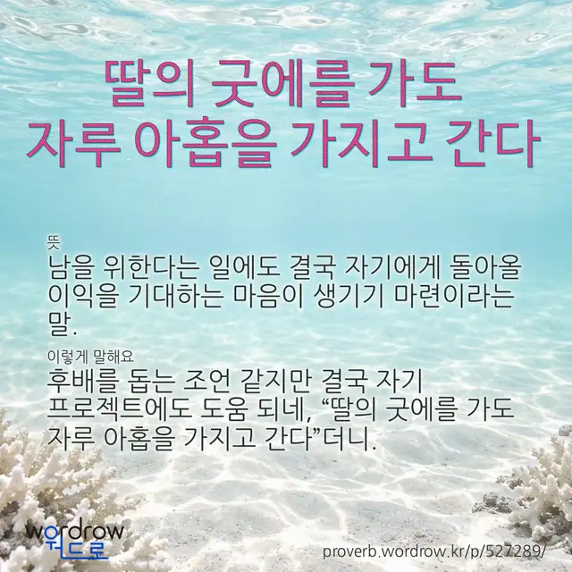 “딸의 굿에를 가도 자루 아홉을 가지고 간다” 글씨와 뜻·예문이 완성된 속담 영상 포스터
