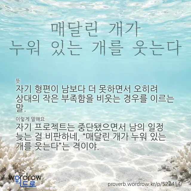 “매달린 개가 누워 있는 개를 웃는다” 글씨와 뜻·예문이 완성된 속담 영상 포스터