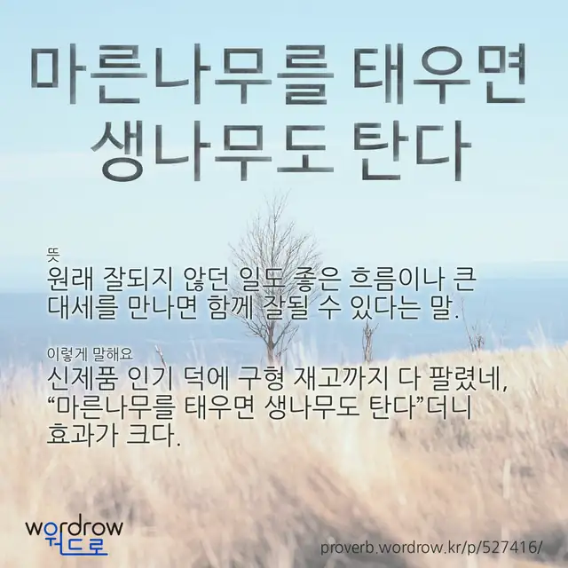 “마른나무를 태우면 생나무도 탄다” 글씨와 뜻·예문이 완성된 속담 영상 포스터