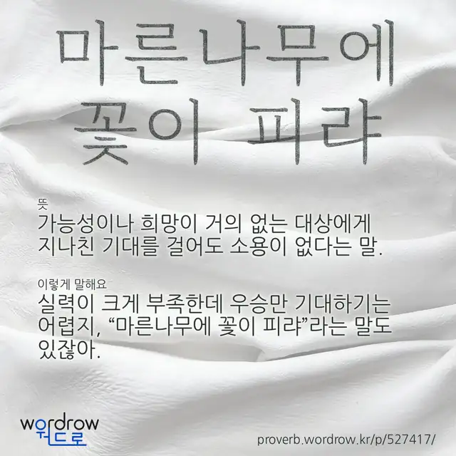 “마른나무에 꽃이 피랴” 글씨와 뜻·예문이 완성된 속담 영상 포스터