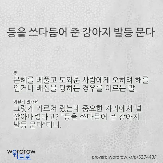 “등을 쓰다듬어 준 강아지 발등 문다” 글씨와 뜻·예문이 완성된 속담 영상 포스터