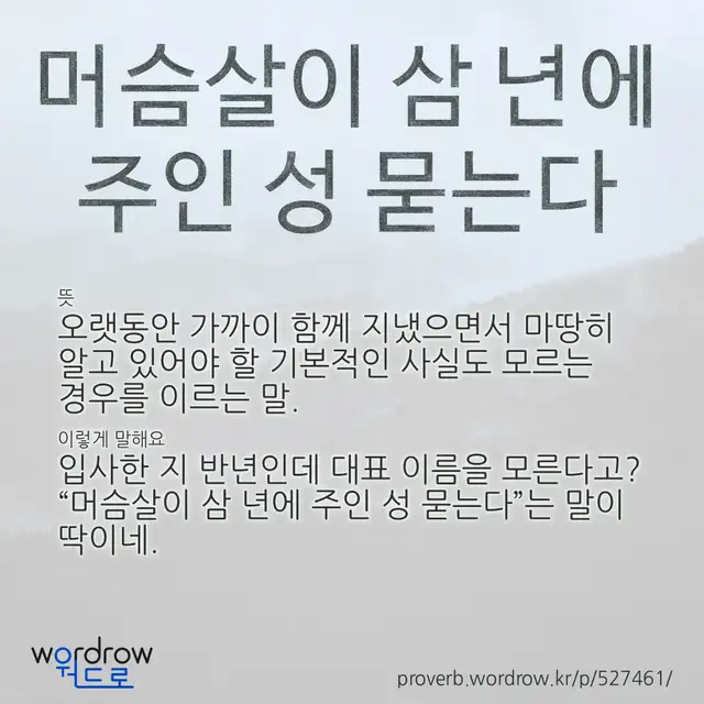 “머슴살이 삼 년에 주인 성 묻는다” 글씨와 뜻·예문이 완성된 속담 영상 포스터