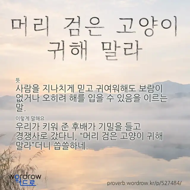 “머리 검은 고양이 귀해 말라” 글씨와 뜻·예문이 완성된 속담 영상 포스터