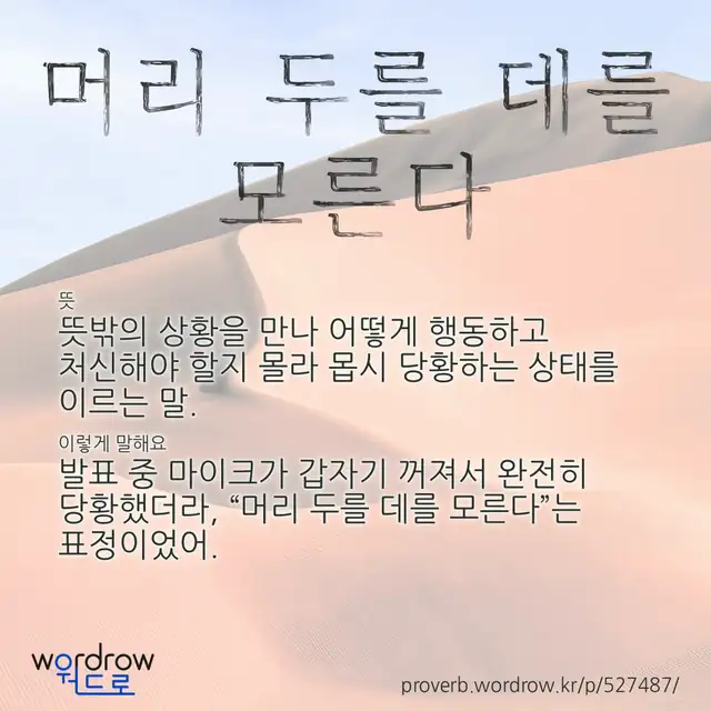 “머리 두를 데를 모른다” 글씨와 뜻·예문이 완성된 속담 영상 포스터