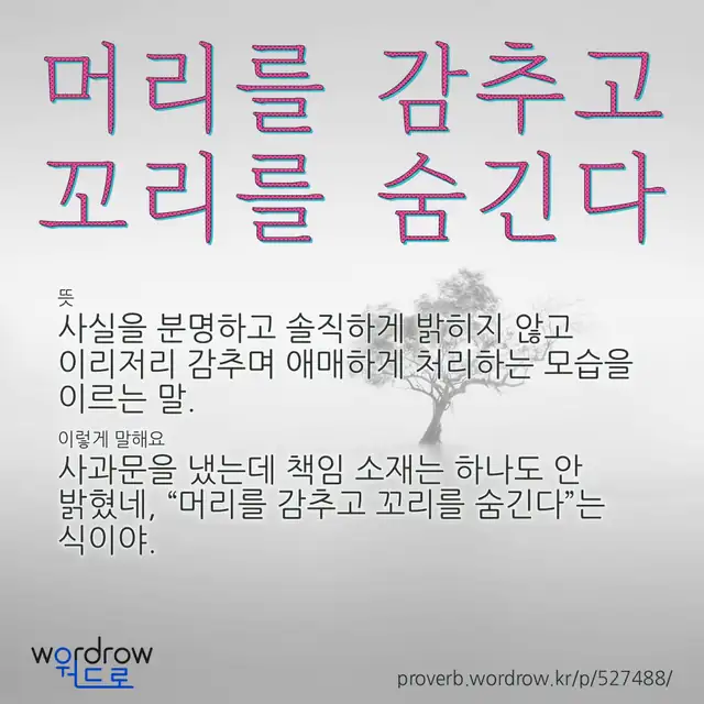 “머리를 감추고 꼬리를 숨긴다” 글씨와 뜻·예문이 완성된 속담 영상 포스터
