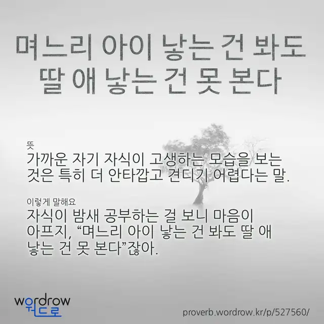 “며느리 아이 낳는 건 봐도 딸 애 낳는 건 못 본다” 글씨와 뜻·예문이 완성된 속담 영상 포스터