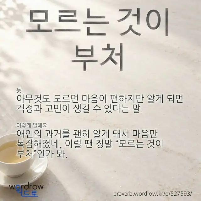 “모르는 것이 부처” 글씨와 뜻·예문이 완성된 속담 영상 포스터