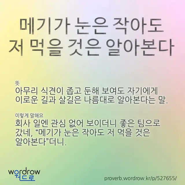 “메기가 눈은 작아도 저 먹을 것은 알아본다” 글씨와 뜻·예문이 완성된 속담 영상 포스터