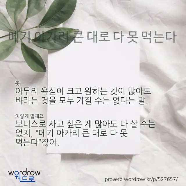 “메기 아가리 큰 대로 다 못 먹는다” 글씨와 뜻·예문이 완성된 속담 영상 포스터