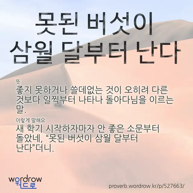 “못된 버섯이 삼월 달부터 난다” 글씨와 뜻·예문이 완성된 속담 영상 포스터