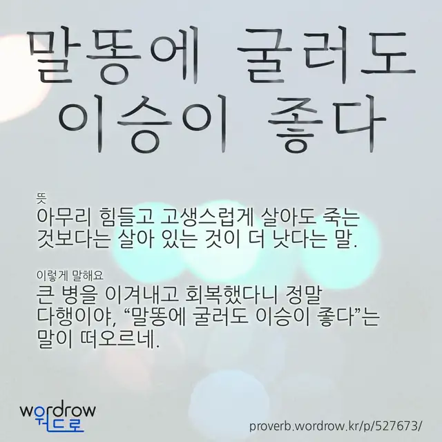“말똥에 굴러도 이승이 좋다” 글씨와 뜻·예문이 완성된 속담 영상 포스터