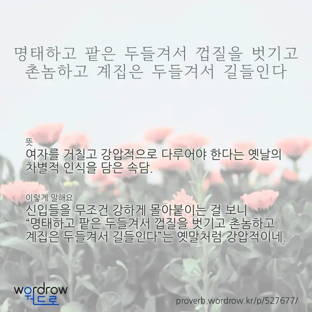 “명태하고 팥은 두들겨서 껍질을 벗기고 촌놈하고 계집은 두들겨서 길들인다” 글씨와 뜻·예문이 완성된 속담 영상 포스터