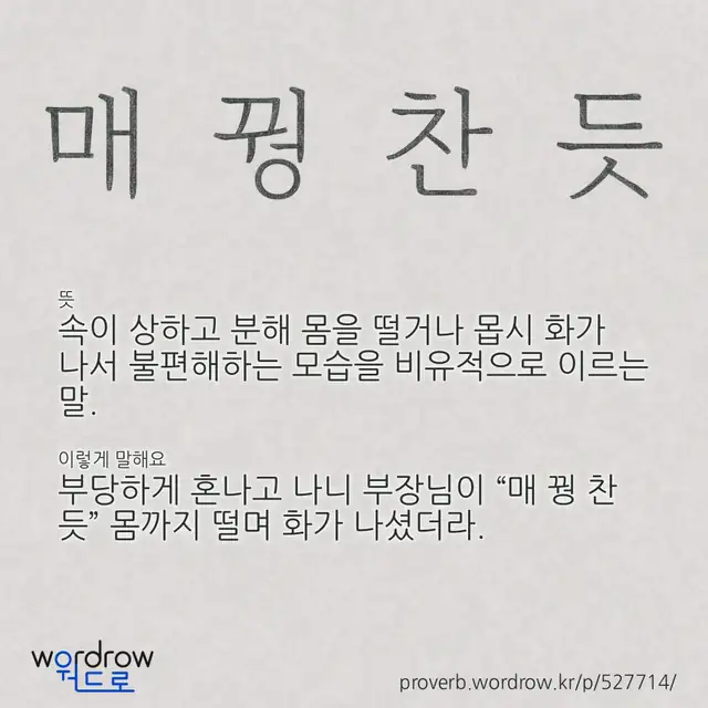 “매 꿩 찬 듯” 글씨와 뜻·예문이 완성된 속담 영상 포스터