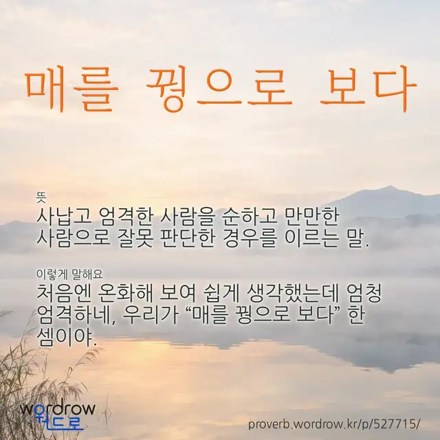 “매를 꿩으로 보다” 글씨와 뜻·예문이 완성된 속담 영상 포스터