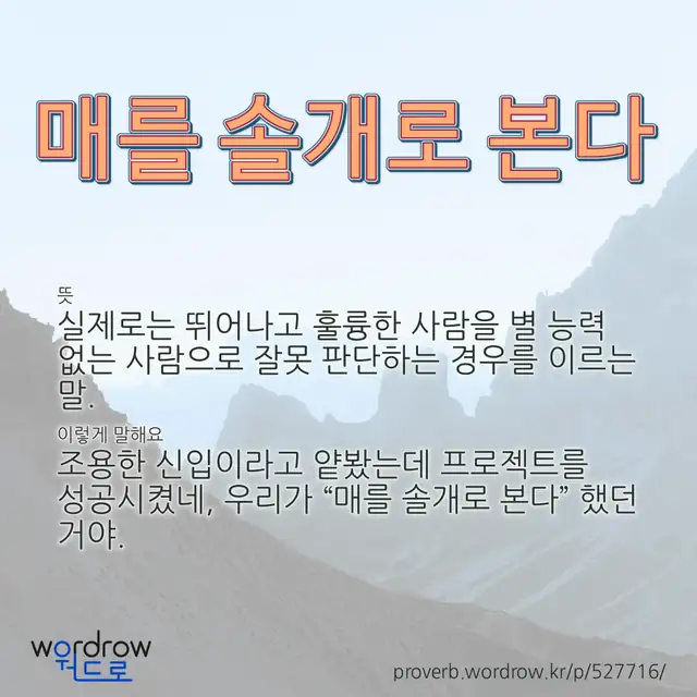 “매를 솔개로 본다” 글씨와 뜻·예문이 완성된 속담 영상 포스터