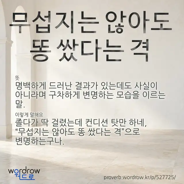 “무섭지는 않아도 똥 쌌다는 격” 글씨와 뜻·예문이 완성된 속담 영상 포스터