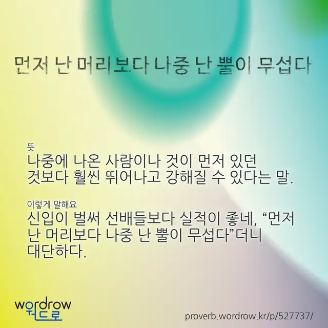 “먼저 난 머리보다 나중 난 뿔이 무섭다” 글씨와 뜻·예문이 완성된 속담 영상 포스터