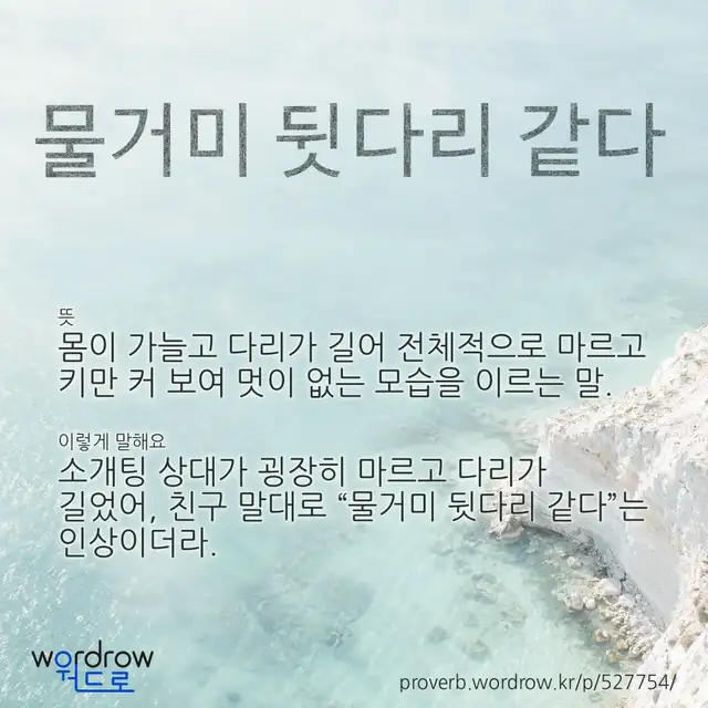 “물거미 뒷다리 같다” 글씨와 뜻·예문이 완성된 속담 영상 포스터