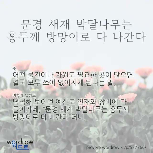 “문경 새재 박달나무는 홍두깨 방망이로 다 나간다” 글씨와 뜻·예문이 완성된 속담 영상 포스터