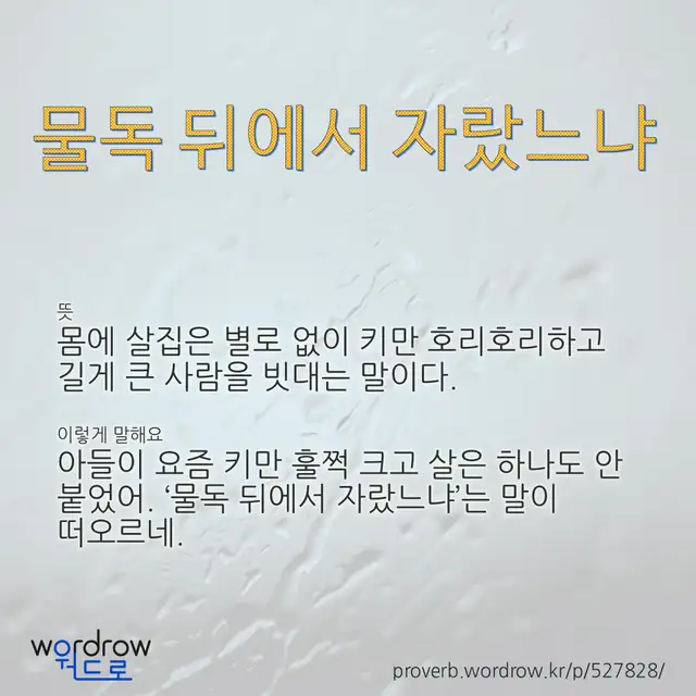 “물독 뒤에서 자랐느냐” 글씨와 뜻·예문이 완성된 속담 영상 포스터