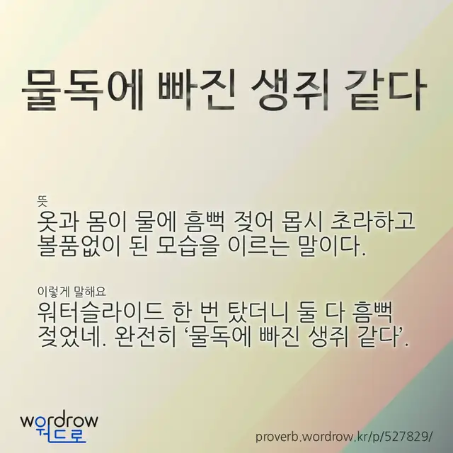 “물독에 빠진 생쥐 같다” 글씨와 뜻·예문이 완성된 속담 영상 포스터