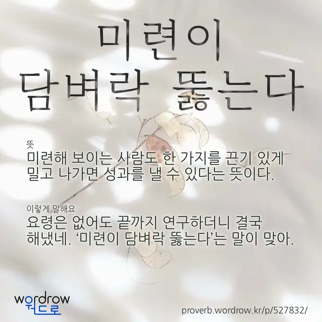 “미련이 담벼락 뚫는다” 글씨와 뜻·예문이 완성된 속담 영상 포스터