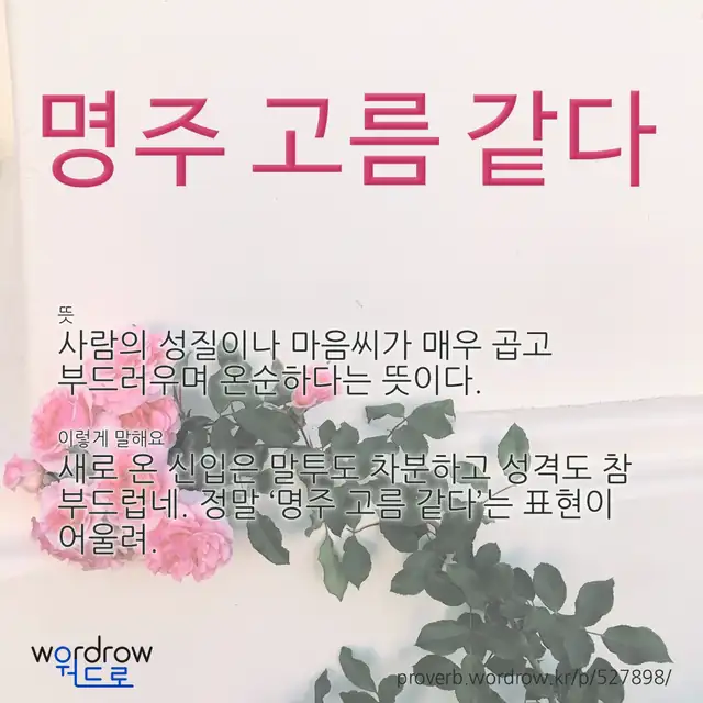 “명주 고름 같다” 글씨와 뜻·예문이 완성된 속담 영상 포스터