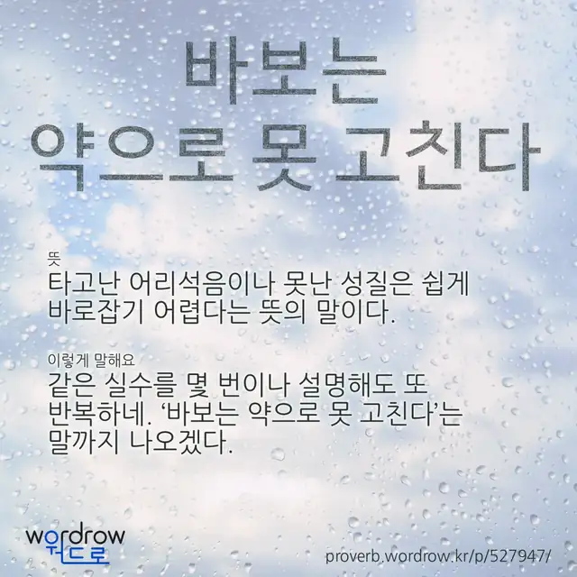 “바보는 약으로 못 고친다” 글씨와 뜻·예문이 완성된 속담 영상 포스터