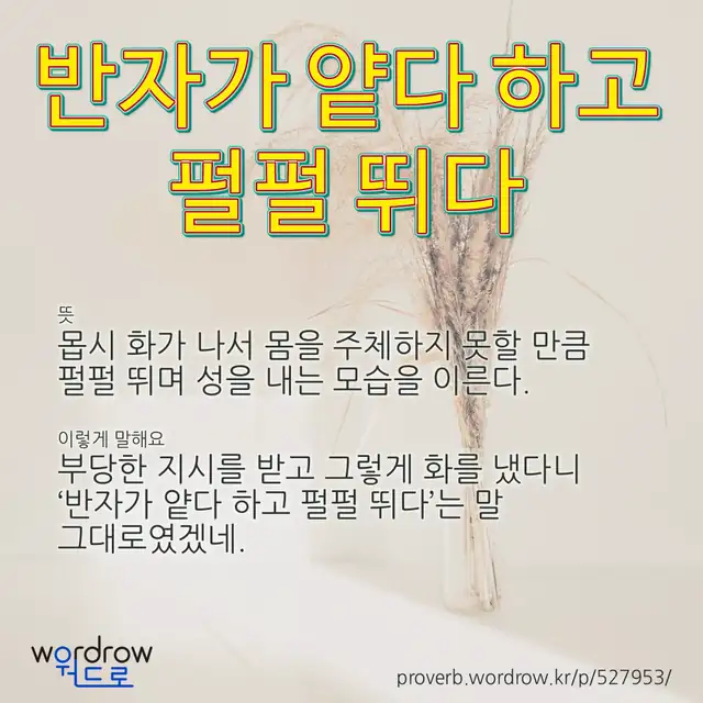 “반자가 얕다 하고 펄펄 뛰다” 글씨와 뜻·예문이 완성된 속담 영상 포스터