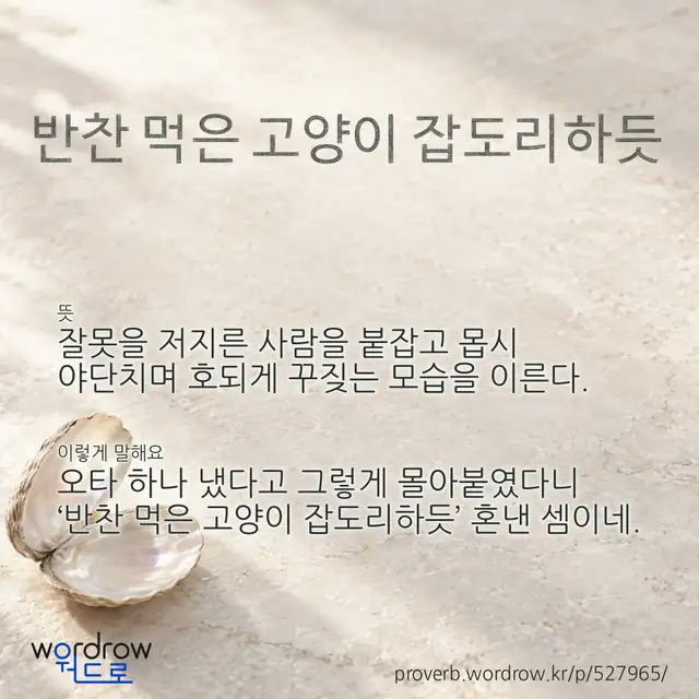 “반찬 먹은 고양이 잡도리하듯” 글씨와 뜻·예문이 완성된 속담 영상 포스터