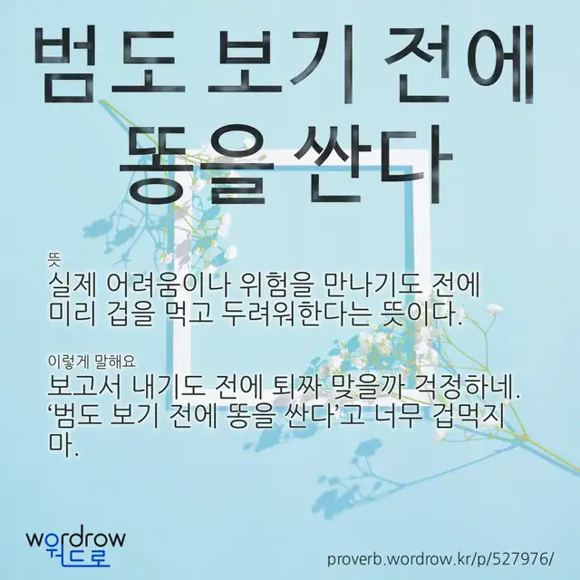“범도 보기 전에 똥을 싼다” 글씨와 뜻·예문이 완성된 속담 영상 포스터